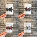 star 4pcs