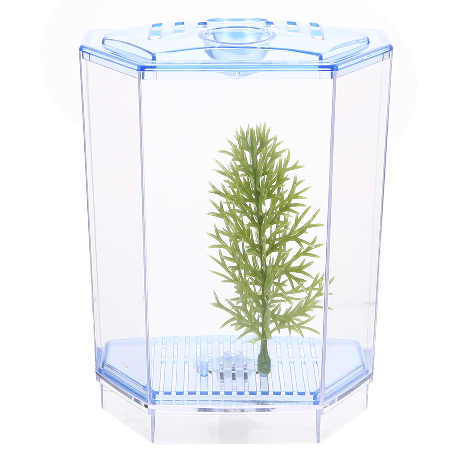 

Mini Fish Tank Small Plastic Transparent Home Feeding Accessory Tiny Tanks Aquarium Decor Hydroponic Plants Breeding Box