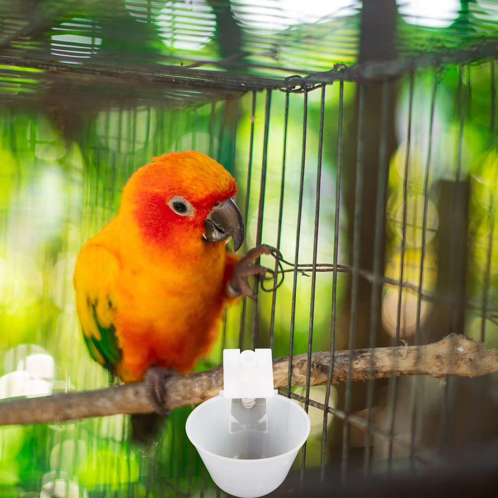 

10 set Automatic Pet Drinker for Quail Chicks Ducklings Pigeons 9.5MM White Hanging Cage Water Feeder Bowl Durable