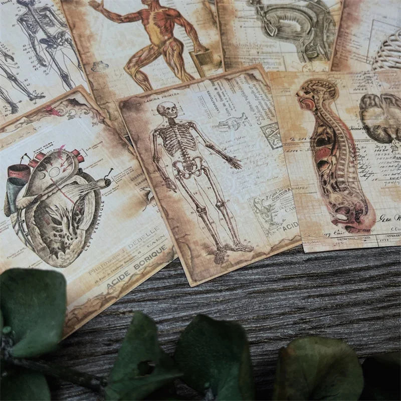 10 Pcs Vintage Human Anatomy Craft Paper Junk Journal Ephemera Antique Medical Photo DIY Album Scrapbooking Material Paper Pack