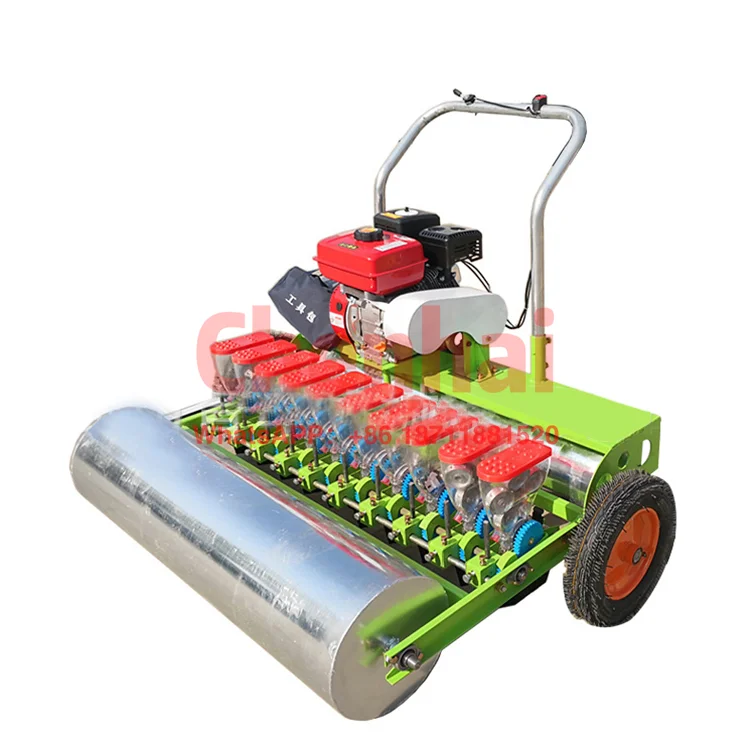 

High Efficiency Hand Push Gasoline Planting Machine Lettuce Cabbage Seeder