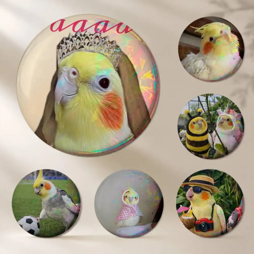 Chubby Cockatiel Parrot Bird Brooches Cartoon Badge Pins Backpack Hat Accessories Friend Gift