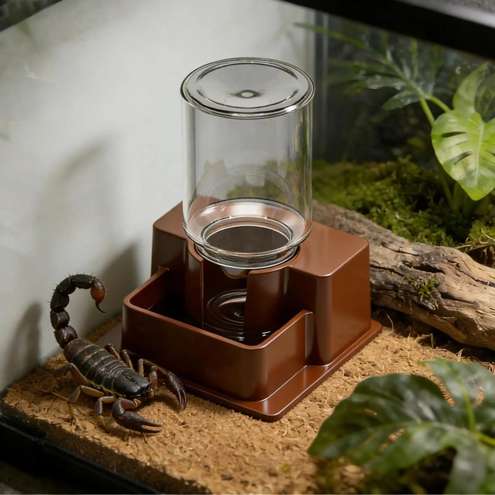 Automatic Reptile Water Drinker Reptile Detachable Feeding Bowl Water Dripper Tortoise Feeder Feeding Accessory