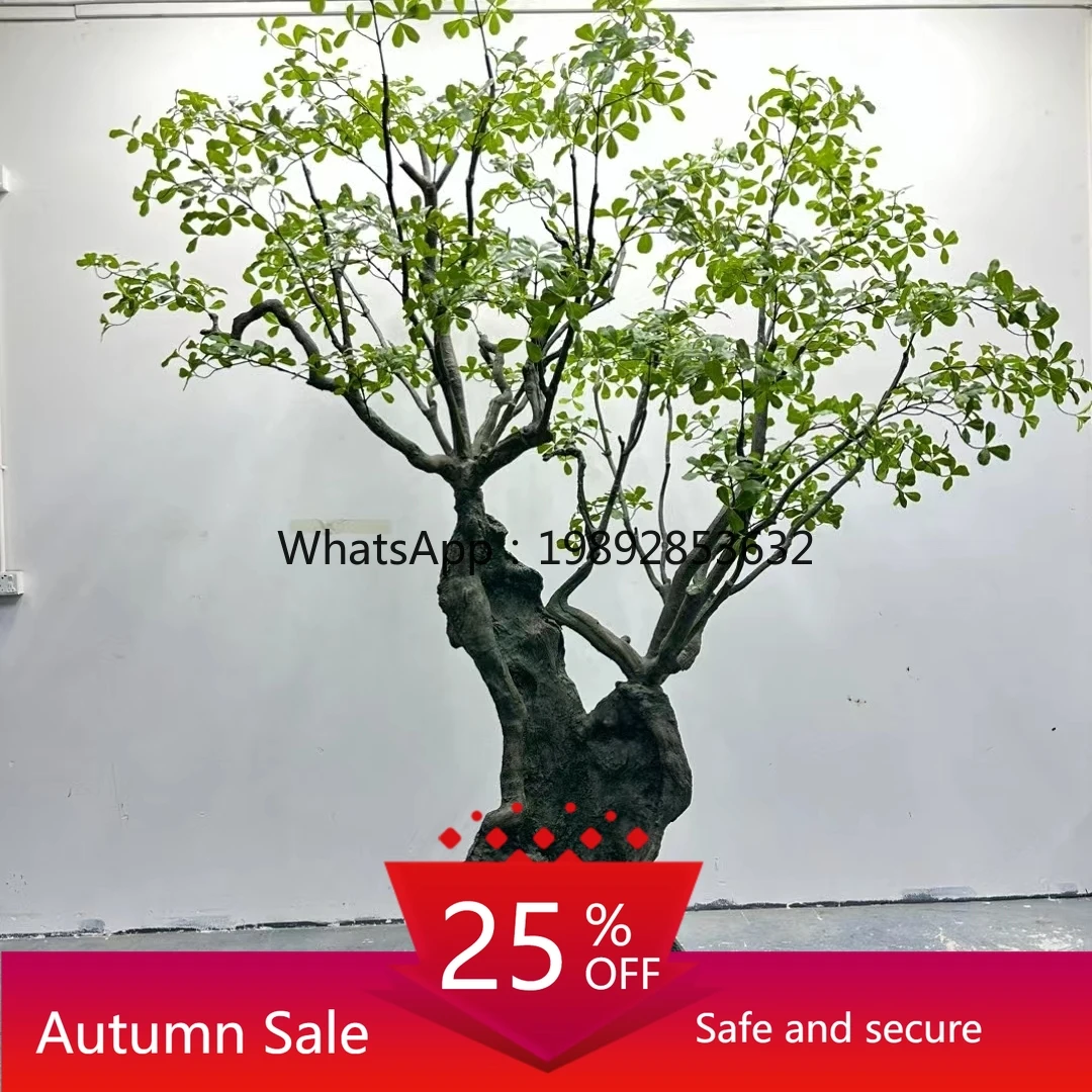 Ly Artificial Drunk…