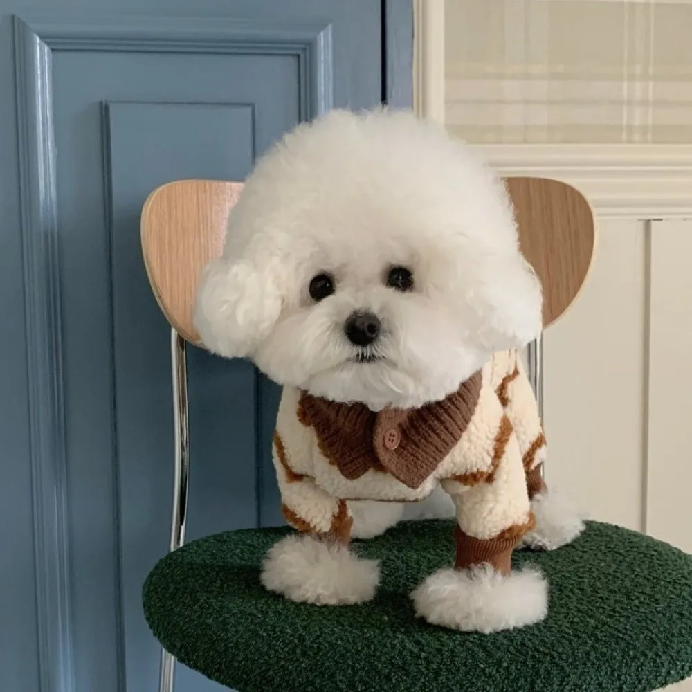 

Cute Warm Dog Knitted Hat Soft Comfortable Pet Hooded Scarf Fashion Solid Color Dog Decorative Hat Autumn Winter