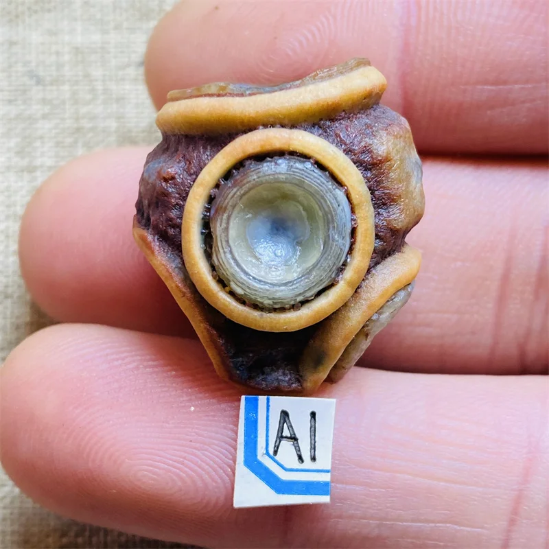 AAAAA+ Natural Alxa Agate Mineral Specimen Crystal Gift