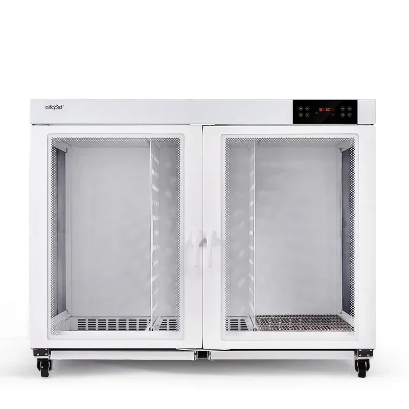 AliExpress Choice: High Quality cat iptv | Official Store, Fast Shipping