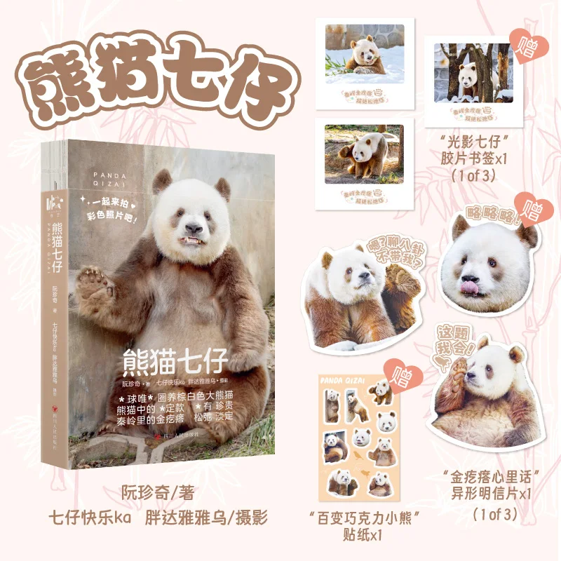 

Panda Qi Zai: Теплая сердцеобразная настоящая история уникальной коричнево-белой панды и его путешествуем принимаются