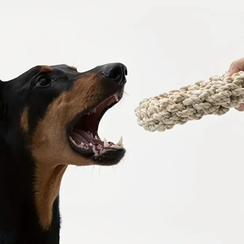 #18 Top 50 Dog Rope Toys Worth Buying In 2026