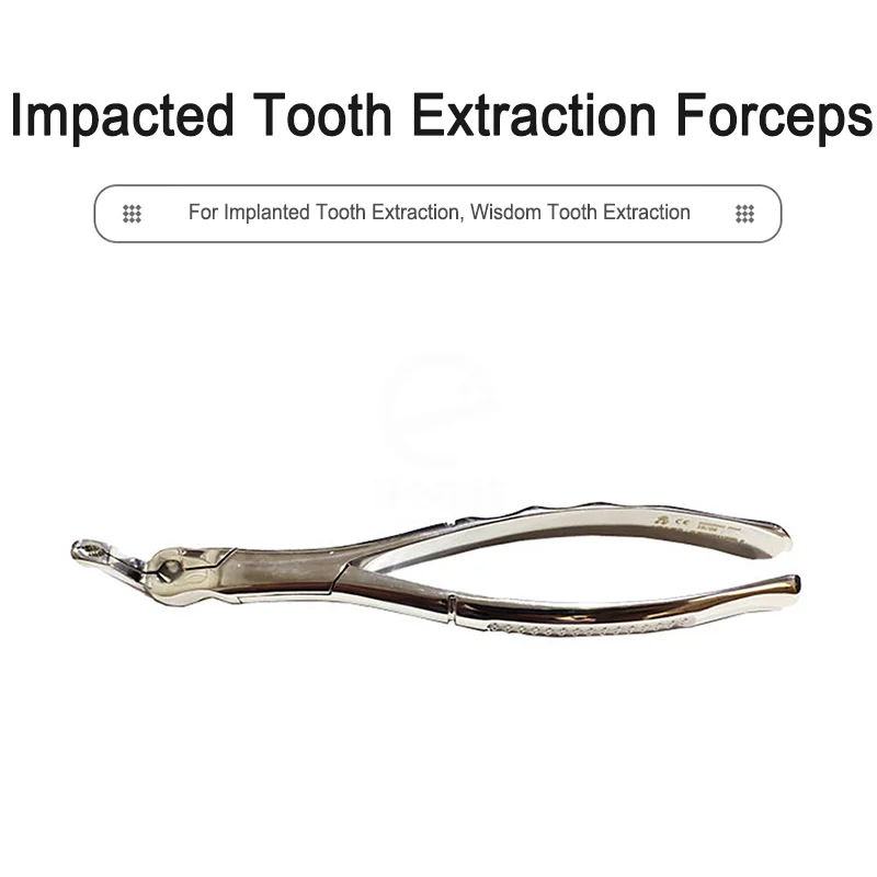 

Dentistry Impacted Teeth Wisdom Teeth Tooth Extraction Forceps Stainless Steel Forceps Oral Instruments Tools