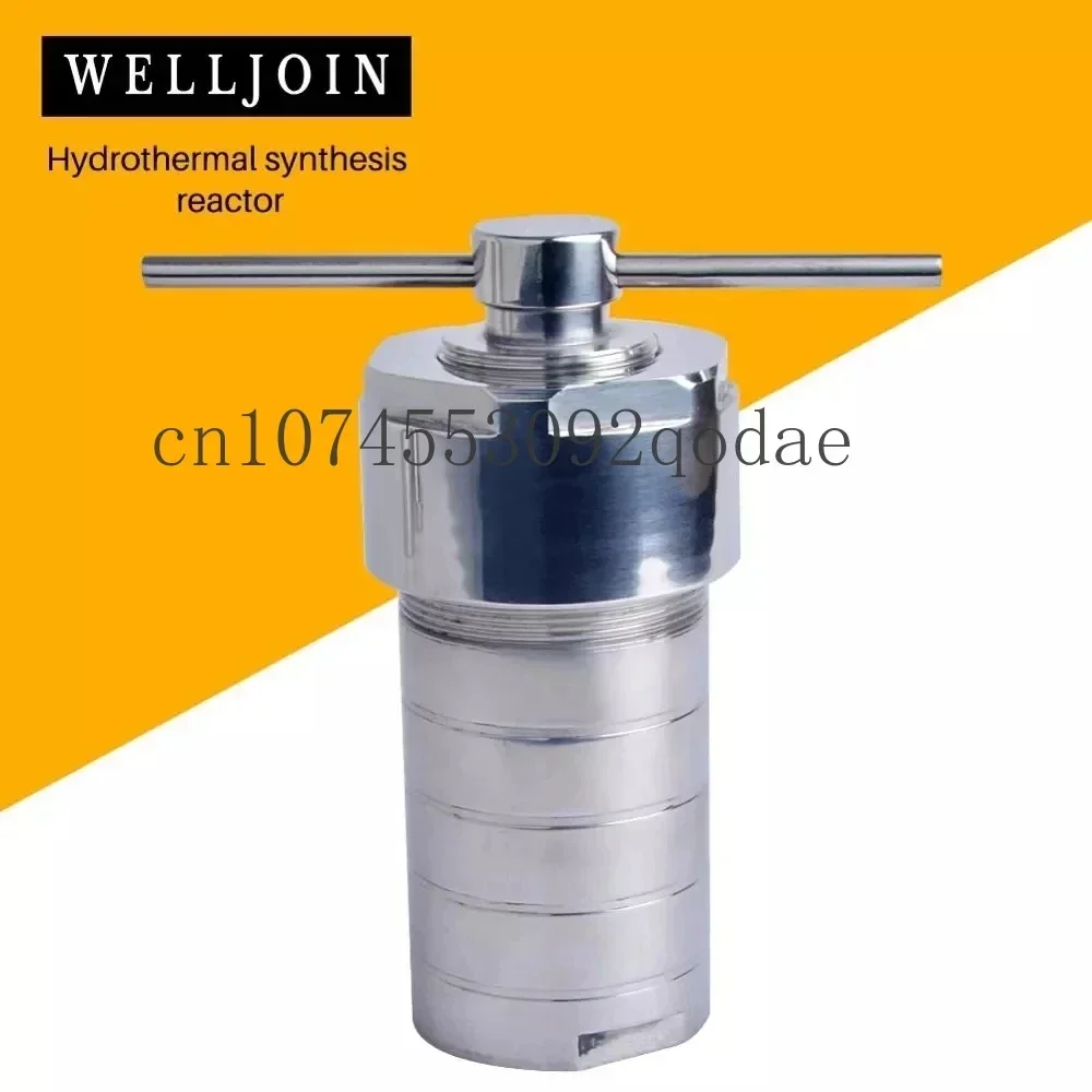 

Vessel-kettle Hydrothermal Autoclave Reactor with PTFE Chamber Hydrothermal Synthesis 50ml