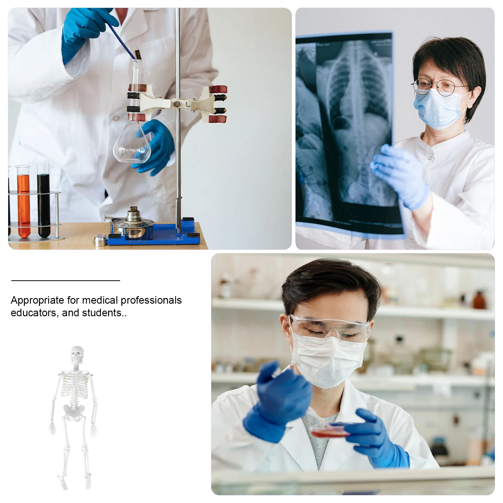 

Human Anatomy Model Removable Skull Cap Movable Jaw Medical Study Supplies Unbreakable PVC Plastic Teaching Aid Yellow