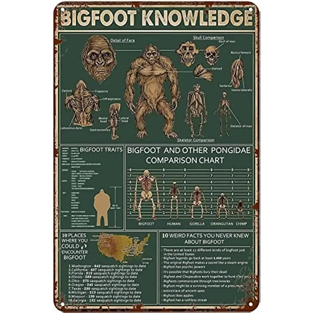 Vintage Tin Sign Metal Plaque Bigfoot Knowledge Bigfoot Lover Gift Sasquatch Art Retro Wall Decor for Home Hotel Cafes