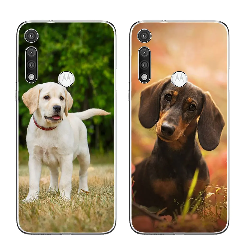 Custodia morbida per cani bassotto per Motorola Moto E13 E22I E22 G52 G42 G32 G23 G22 E20 E30 E40 E4 E5 G200 custodia in Silicone