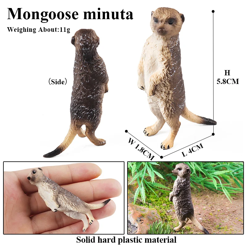Oenux Simulation Neue Wilde Tierfiguren Stehende Wüsten-Meerkatze Otter Nutria Modell Actionfiguren Kinder-Lernspielzeug Geschenk – Detail 10
