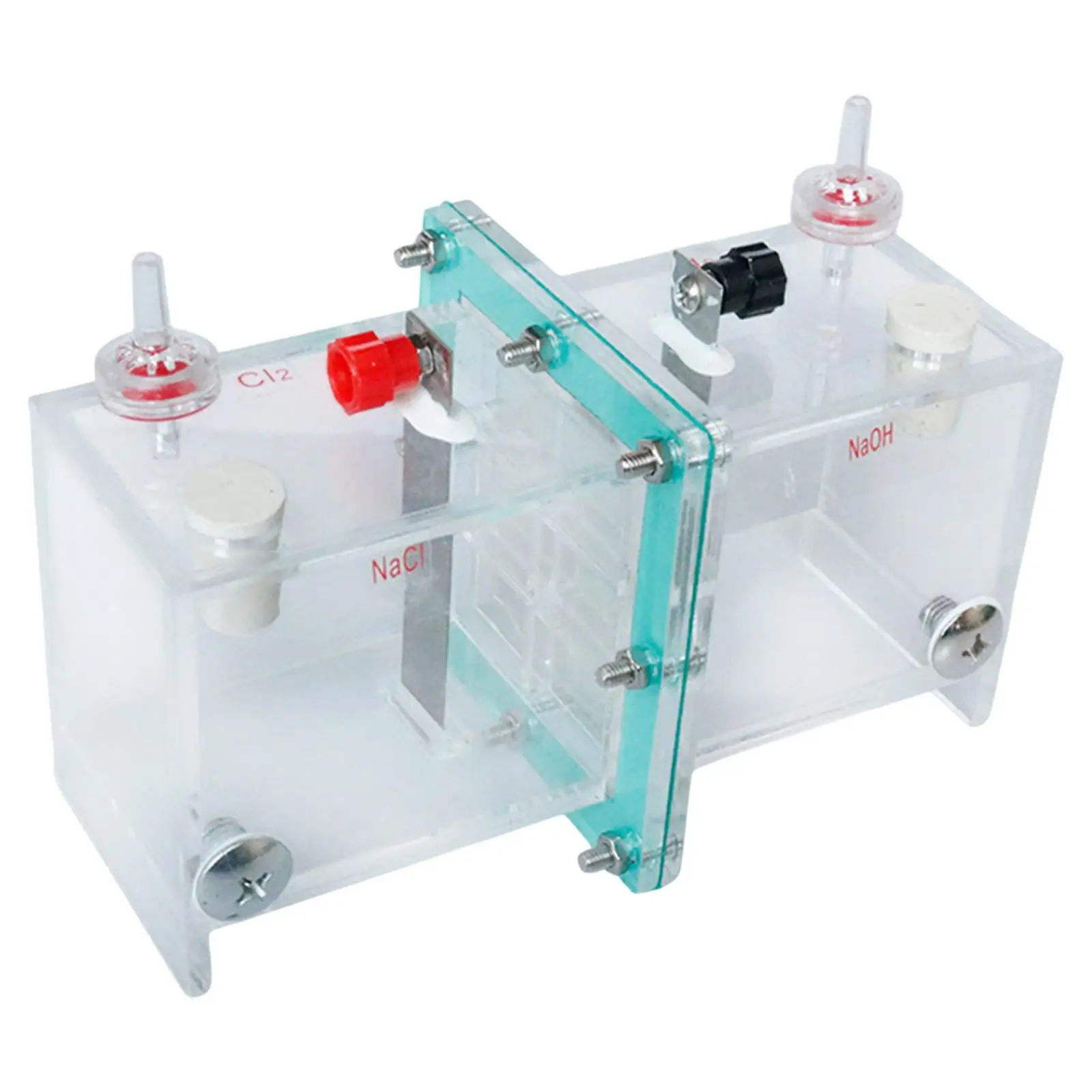 전해조 시위자 이온 교환 멤브레인 사용하기 쉬운 줄기 도구 교실 교사 청소년을 위한 티타늄 전극 장비