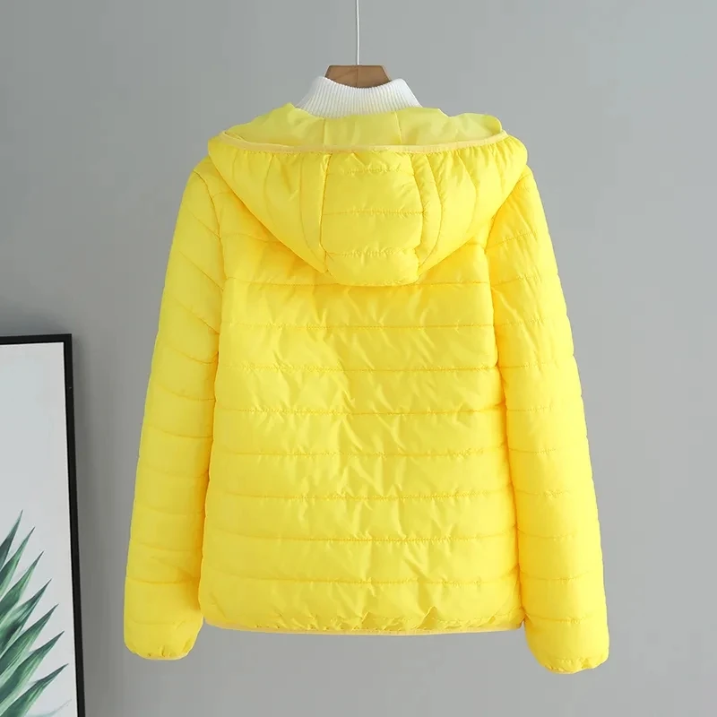 Chaqueta Corta Acolchada de Algodón para Mujer, Otoño Invierno 2025, Nueva Chaqueta Coreana de Algodón con Capucha, Holgada, para Estudiantes