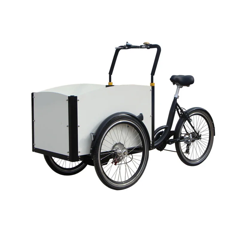 

White Color Electric Mobile Cargo Bike Adult Tricycle Family Kids Scooter Vending Cart Customizable