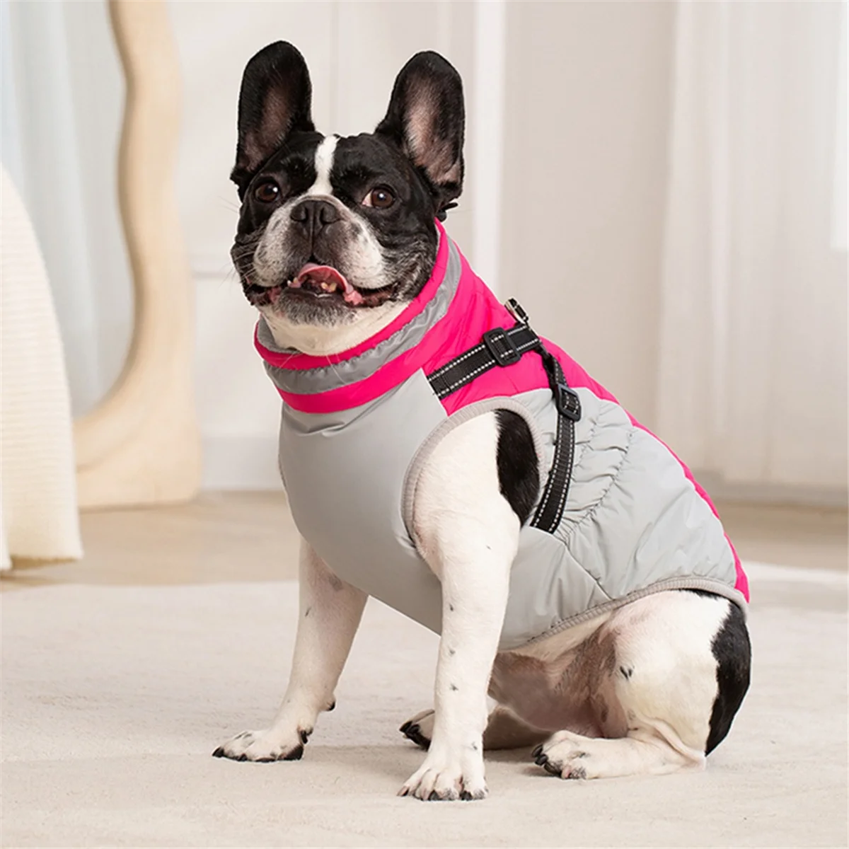 【Exclusive-Deal!】Waterproof Pet Jacket