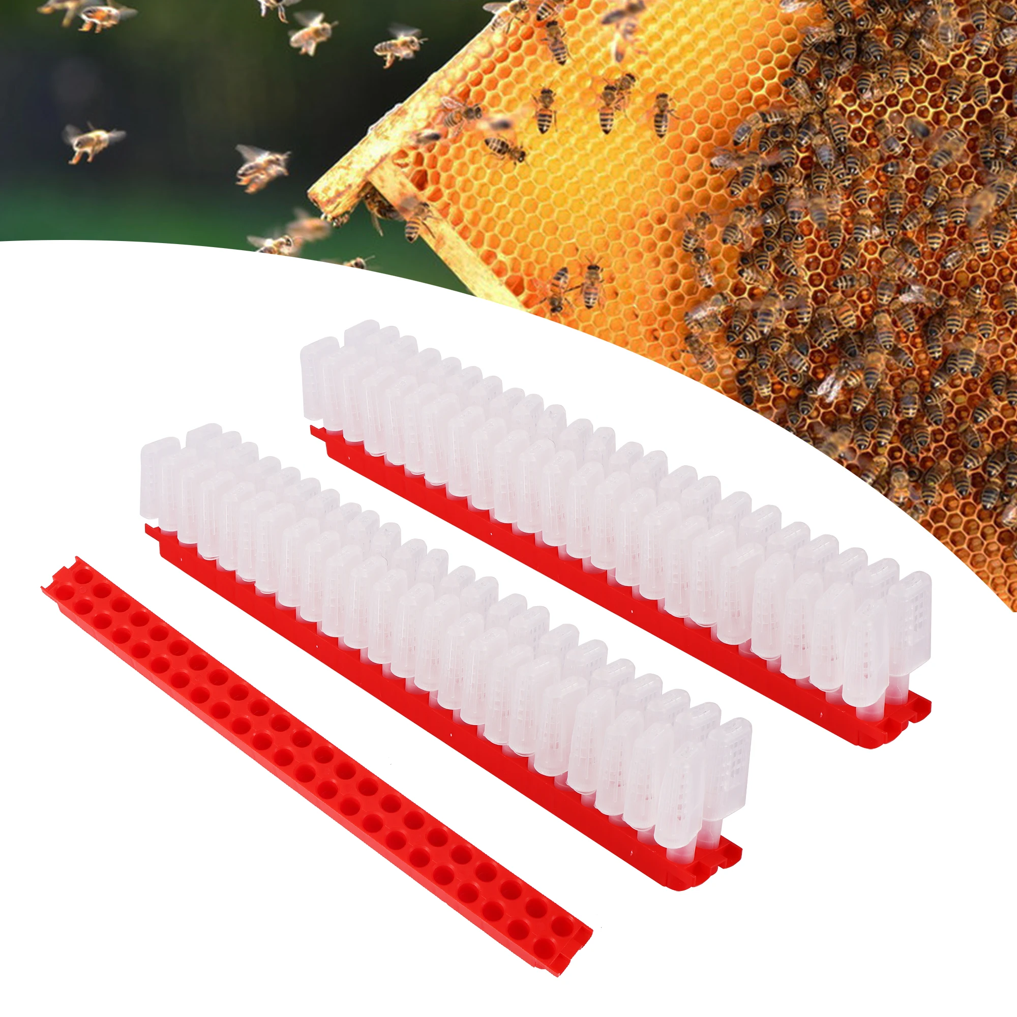 

Beekeeping King Queen Bee Rearing System Box Plastic Cup Cell Protection Cover Cage Apiculture Kit Bees Tools Supplies