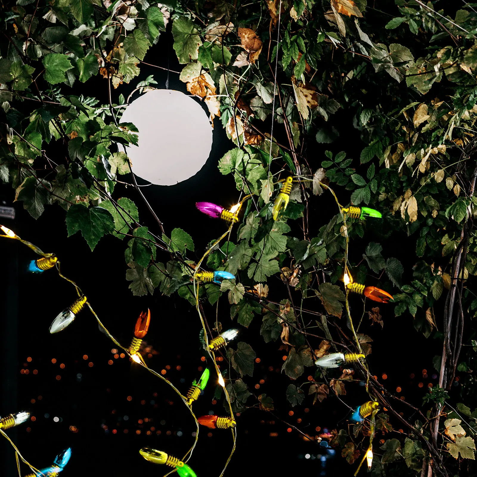 

1 Meter Operated Fairy Lights LED String for Indoor Wall Ceiling Decor Bedroom Nursery Party Ambience Lighting