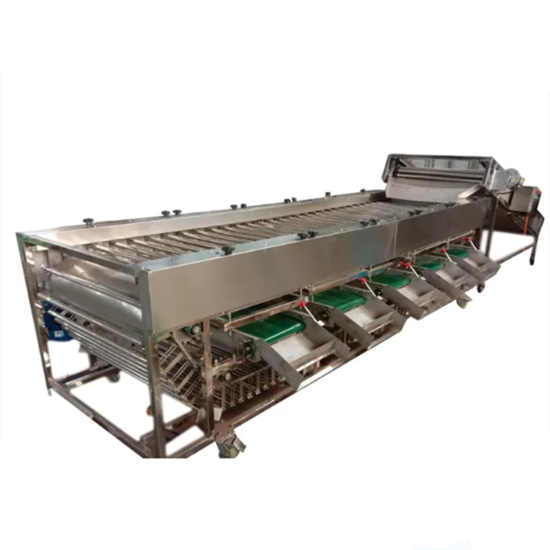 Industrial Size Fruit Vegetable Grading Machine High Quality Fruit Sorting Machine Tomato Grading Machine of Fruits