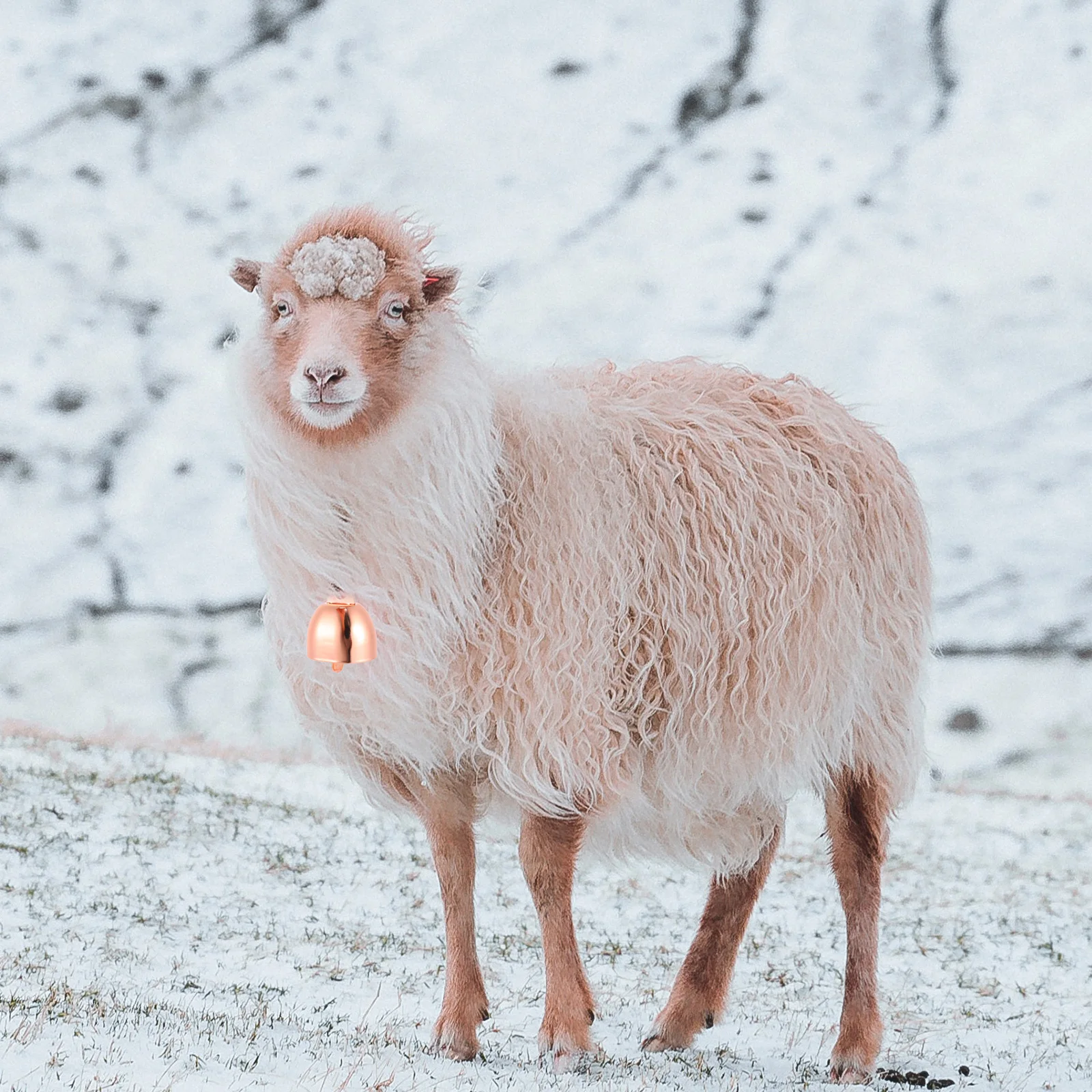 

Iron Cattle Bells Sheep Bell Pet Collar naments Farming Accessories Anti Lost Loud Sound Cow Bells H Premium Lightweight