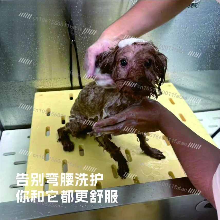 Pet Grooming Lift Table, Cat Bathing Table, Dog Blowing and Shearing, Lifting and Washing Table, Draining Table