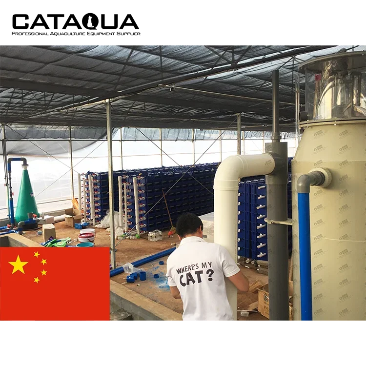 Hainan Project Ras Fish Farming Equipment Indoor Mud Crab Farming Box