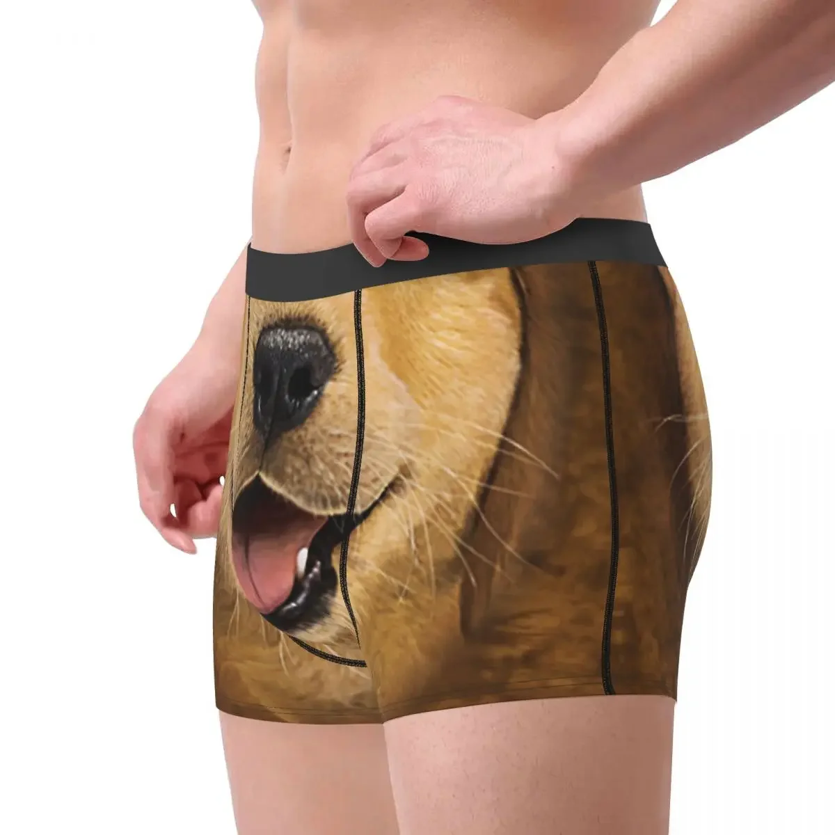 Cute Golden Retriever Puppy Gift 3D Three Dimensional Underpants Breathbale Panties Men's Underwear Shorts Boxer Briefs