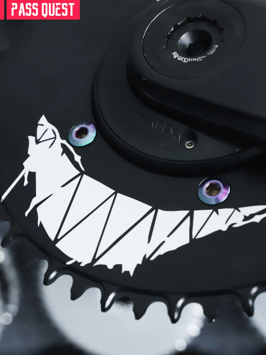 AliExpress PASS QUEST 110BCD (4 bolt) Chessboard and Devil Smiley Face Custom Narrow Wide Chainwheel