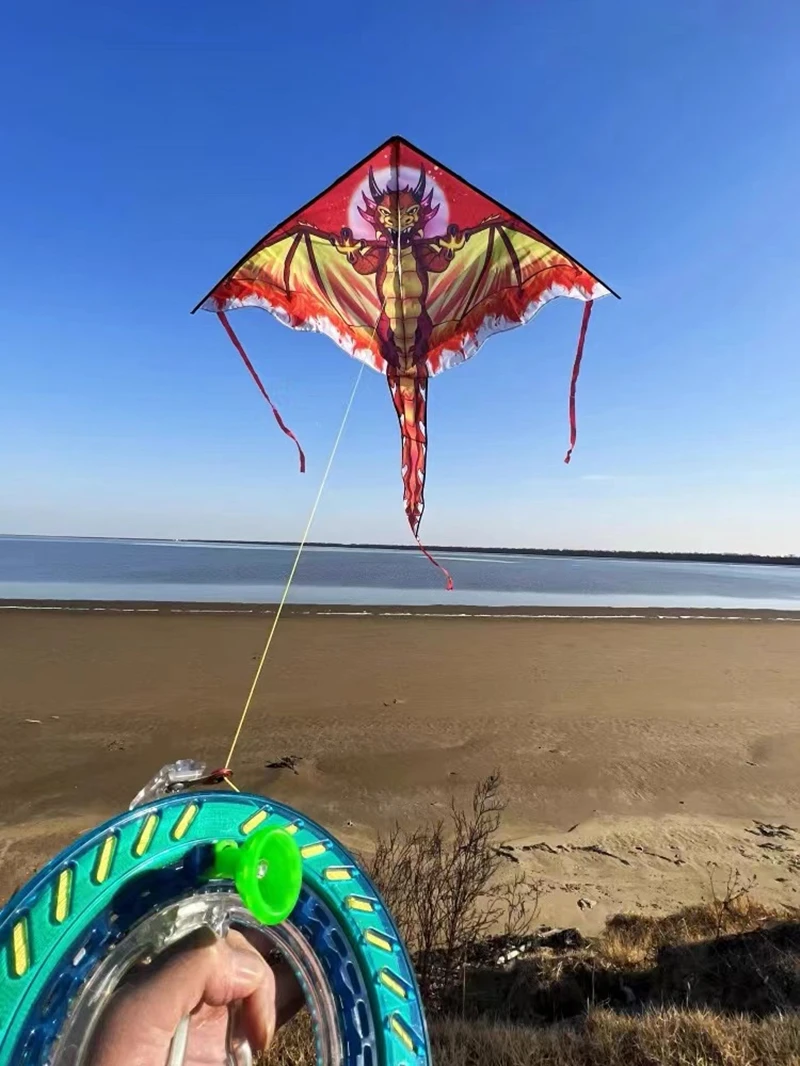 Juguetes voladores de dragones para niños, línea de pipas, fábrica de cometas de águila, juguetes para exteriores, deportes, ocio, pipa de águila, cometa, pipas 3d de nailon