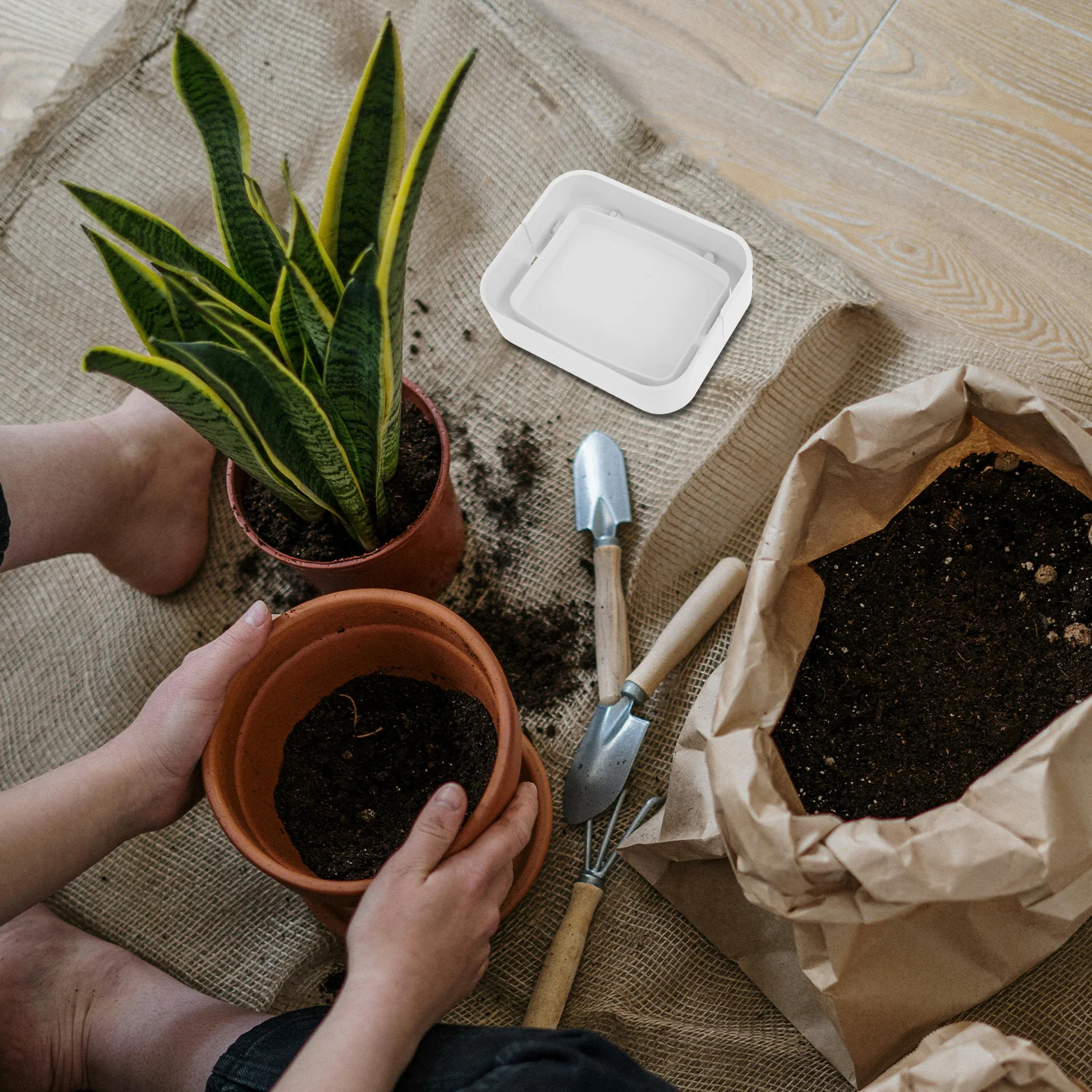 

Hydroponic Pipe Fittings Plug Adapter Easy Installation Improved Plant Development Long Lasting Performance Various Leafy