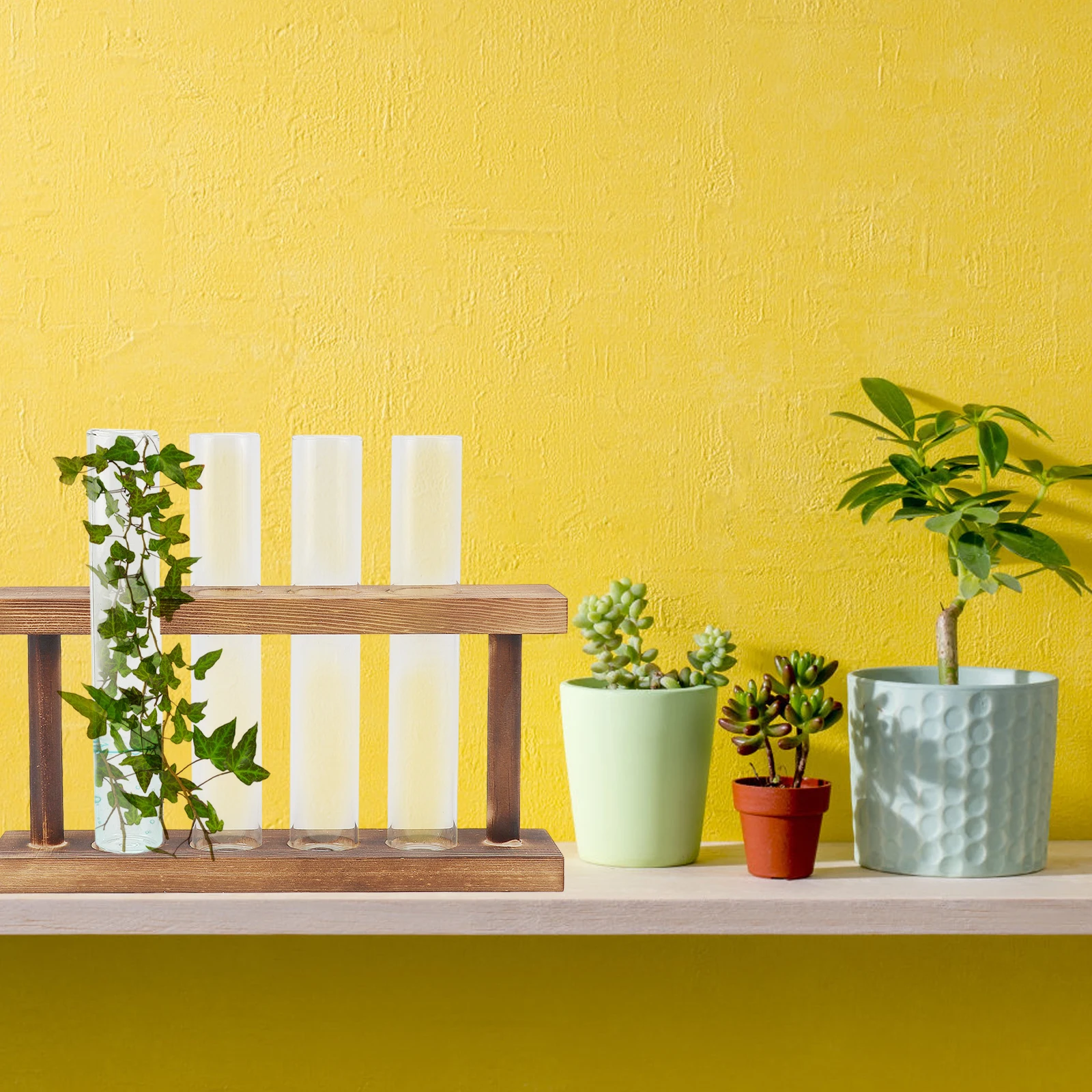 

1Pcs Test Tube Vase Water Planting Container Transparent Appearance Long-Lasting Use Decorative Vase Water Planting Container