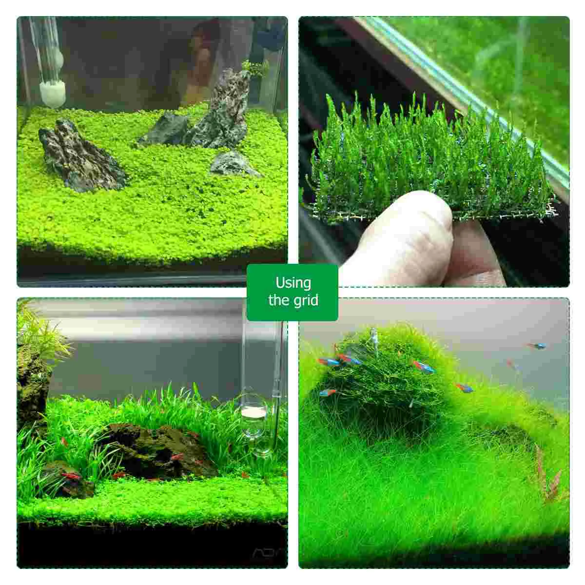 1 04 Stainless Steel Aquarium Moss Sheet Moss Net Aquarium Fish Tank Water Grass Plants Fixed Net Ornaments - 8x8cm (Silver)