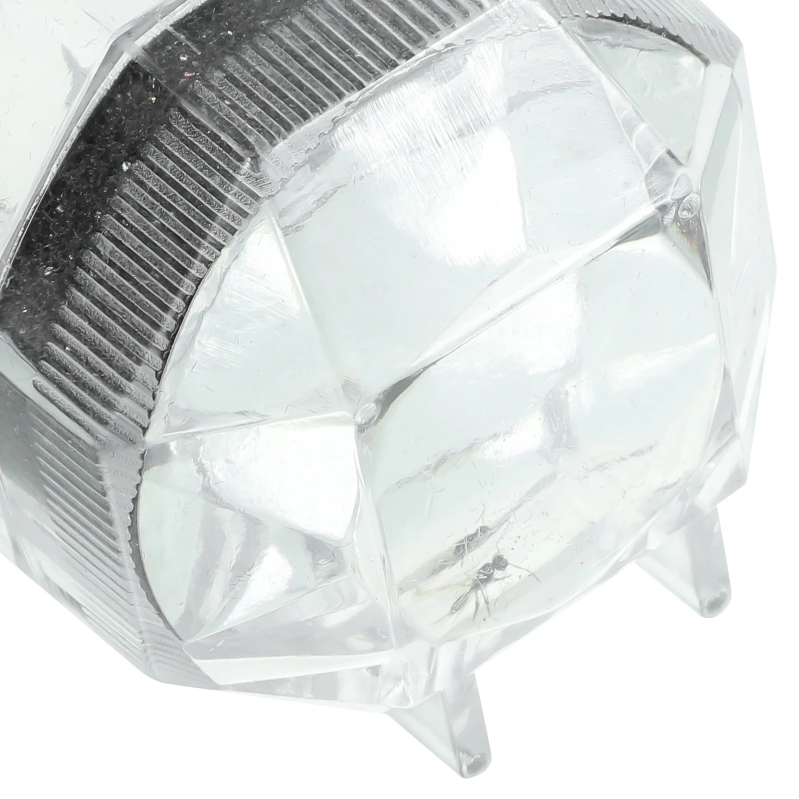 4 pares de colmillos de vampiro, diseño de punta dividida de resina realista, 13mm, 15mm, 17mm, 19mm, caja transparente, fiesta de dientes de Halloween, Cosplay