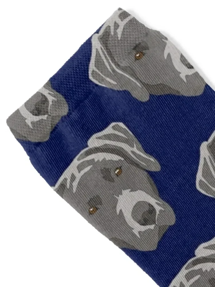 Silver lab face Socks gift funny gifts football sport Boy Child Socks Women's