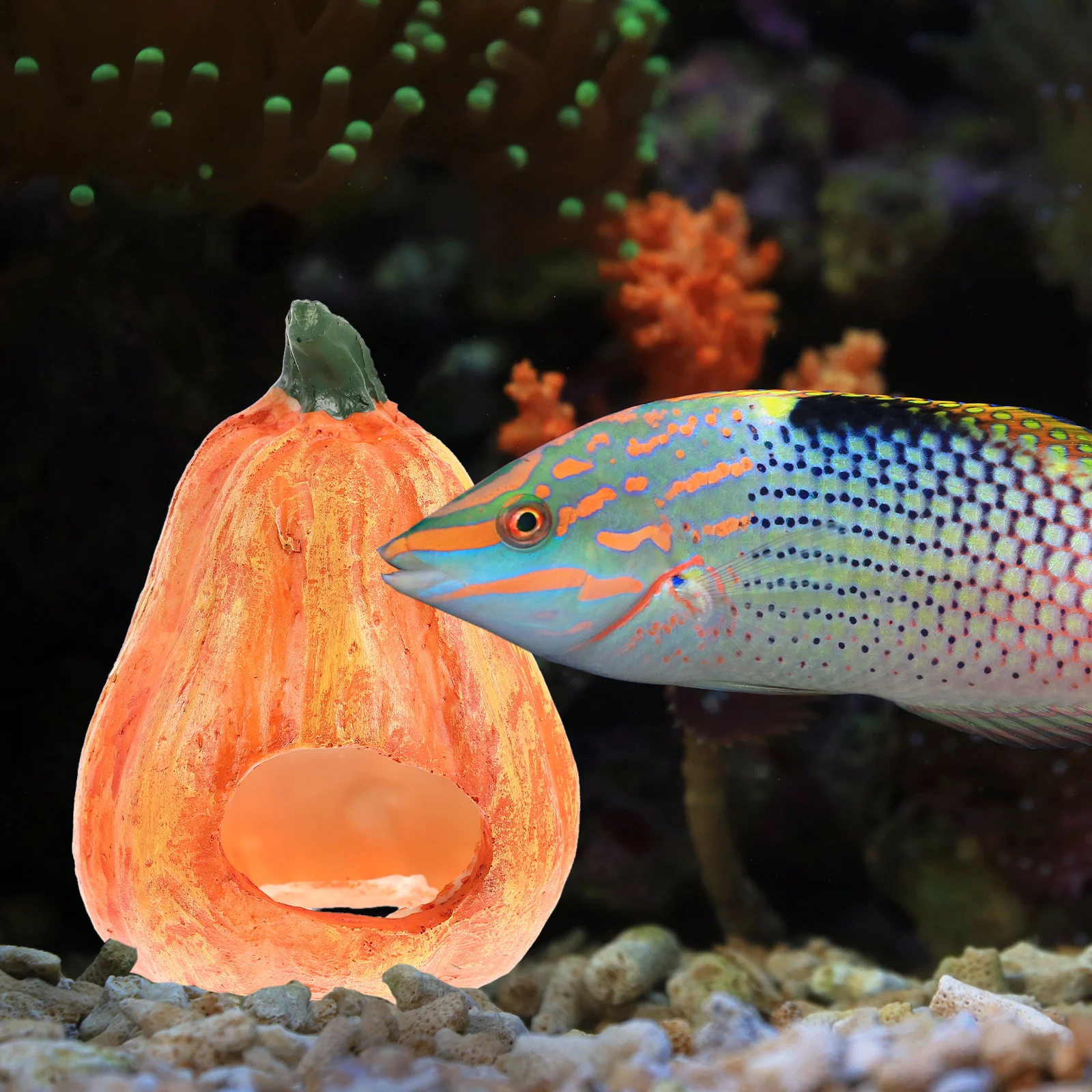

Pumpkin Shaped Aquarium Cave Decorative Fish Cave Resin Fish Tank Shelter Unique Chic Vivid Flavor Household Decor