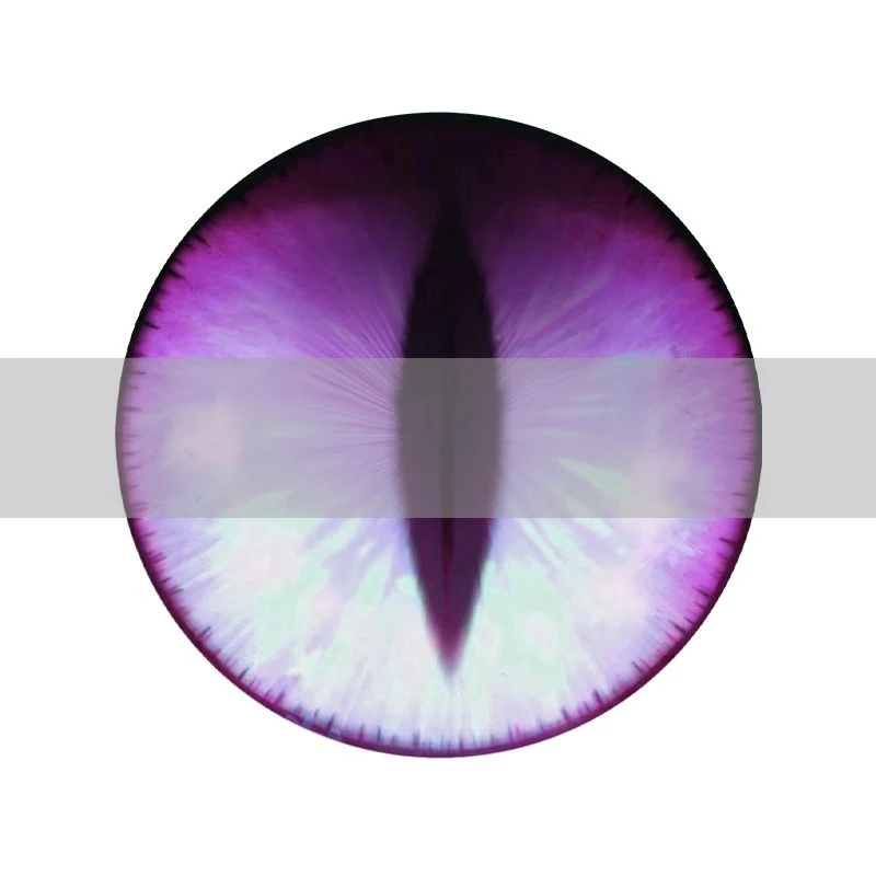 Anime Character Head eye Eyeball Furryfandom Kigurumi Kemono Cosplay Costume Eye Pupil Accessories Animal Dust Net Kig Eye Pupil