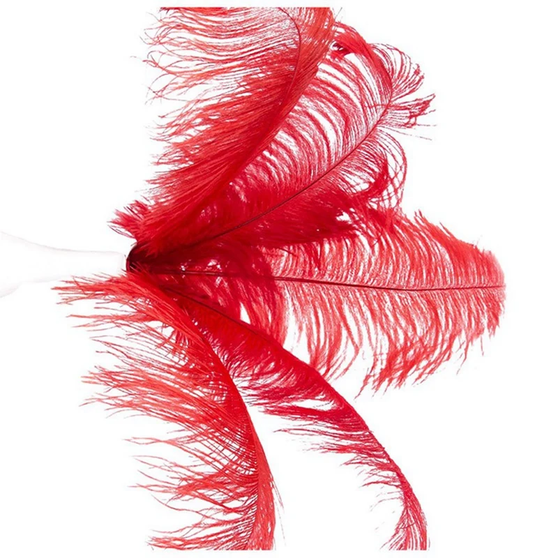 Plumes d'autruche naturelles pour décoration de fête de mariage, rouge, 20-25cm, 20 pièces