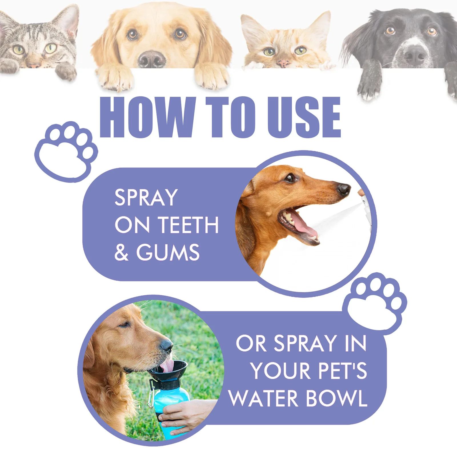 Pet Oral Care Spray Teeth Cleaning Pet Tooth Whitening Remove Bad Breath Keep Fresh Breath Remove Tooth Stains For Cats and Dogs