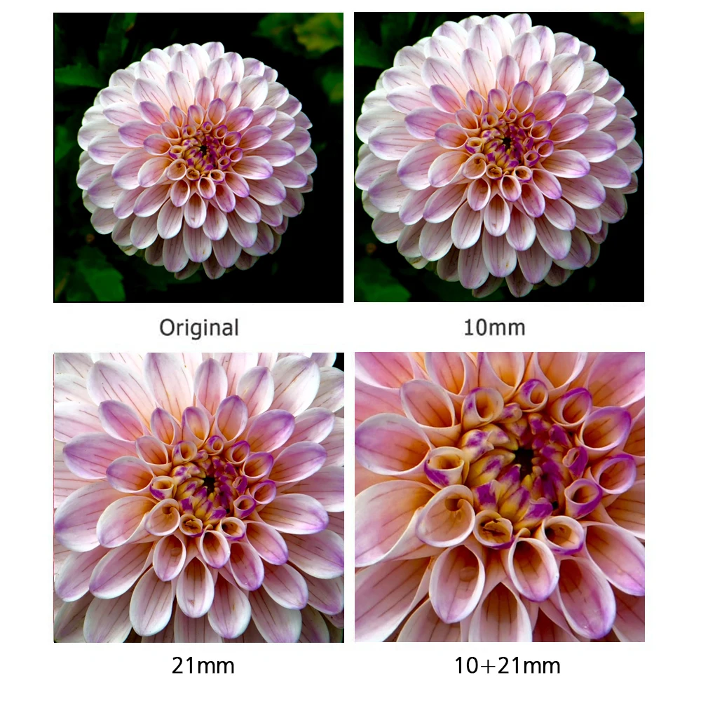 Mcoplus EXT-M4/3-M 10 مللي متر 21 مللي متر التركيز التلقائي ماكرو تمديد أنبوب الدائري لأوليمبوس باناسونيك مايكرو 4/3 نظام الكاميرا OM-1 E-M5 III G9 #6