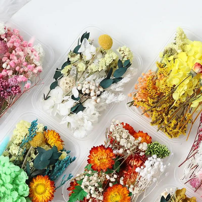 DIY Blend Flower Box Dried Flower Material Package Manual Household Decorate True Flower Air Drying Natural Party Supplies