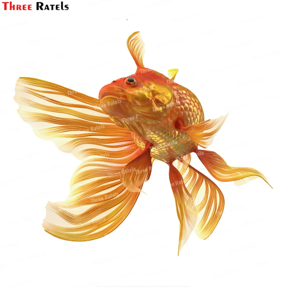 Three Ratels K542 Orange Fancy Fantail Goldfish Swim Motorcycle Car Stickers for Laptop Outdoor Waterproof Sticker