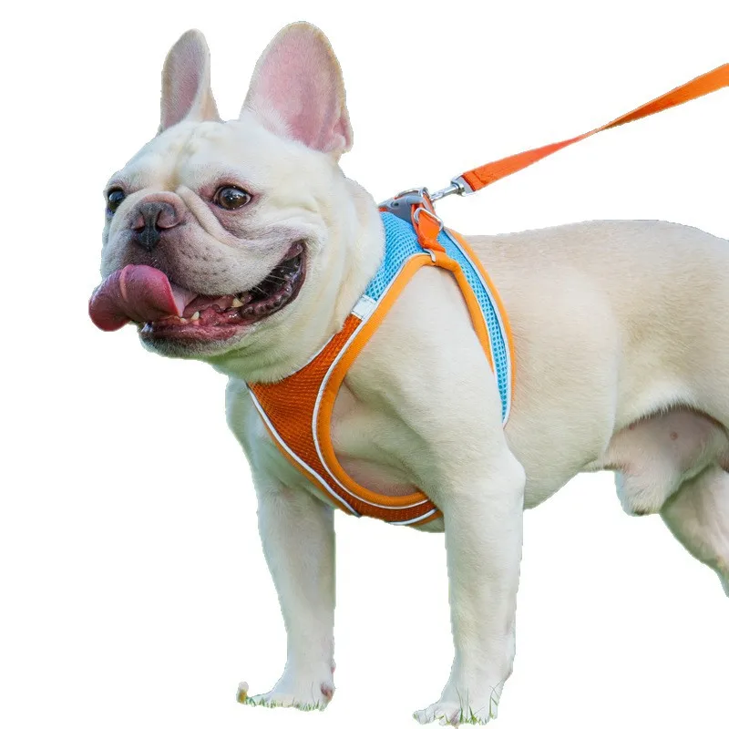 

Новые товары для животных: шлейка-жилетка, светоотражающая и дышащая, поводок для кошек и собак, поводок для прогулок с собакой.