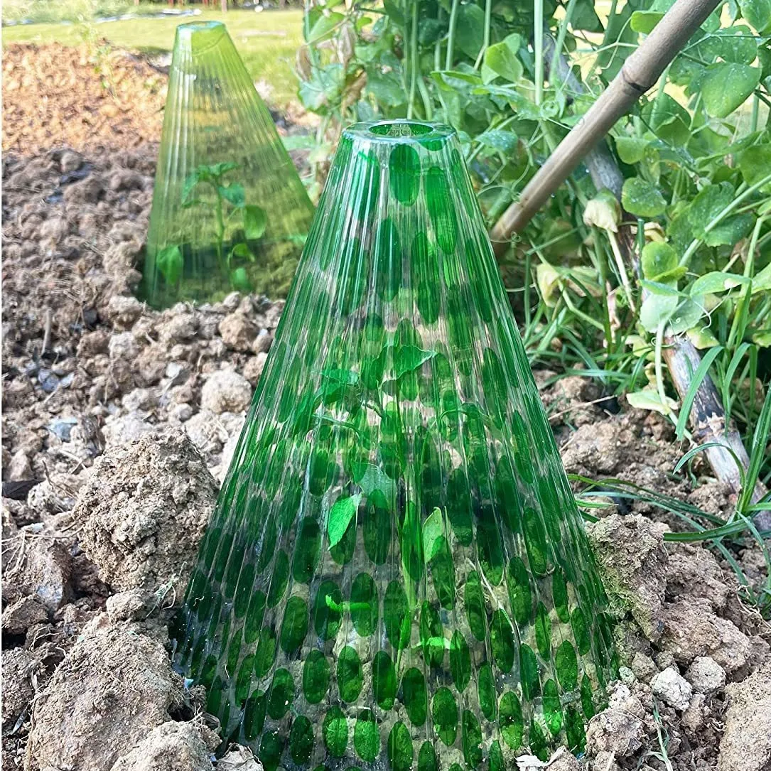 10pcs Garden Plants Cloches Reusable Transparent Jar Cover To Protect Vegetables Fruits From Birds Slugs Frost Freeze Weather