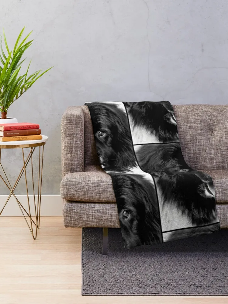 Newfoundland Dog Portrait in Black and White Throw Blanket custom blanket double-sided blanket heavy blanket