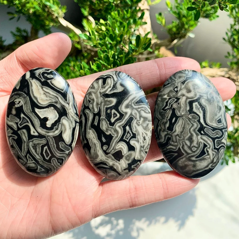 Wholesale Black Crazy Agate Plate Palm Stone Ornaments Polished Crystal Crafts Home Desktop Decorations CrystalHola Brand