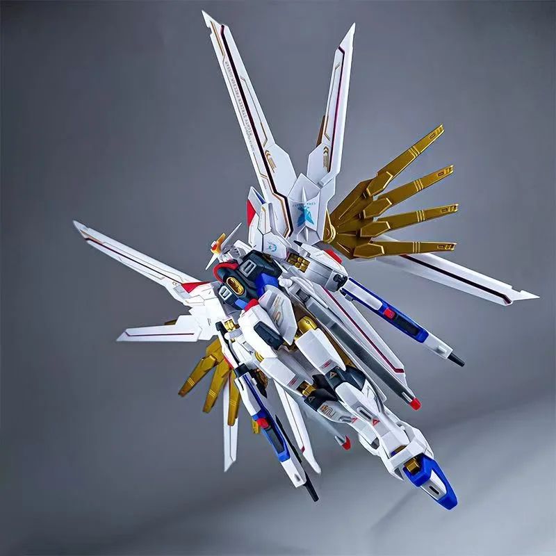 HG 1/144 Extraordinary Strike Freedom Assembly Model Kit Action Figures Collectable mecha Toy Ornaments Anime Statue Boy Gift