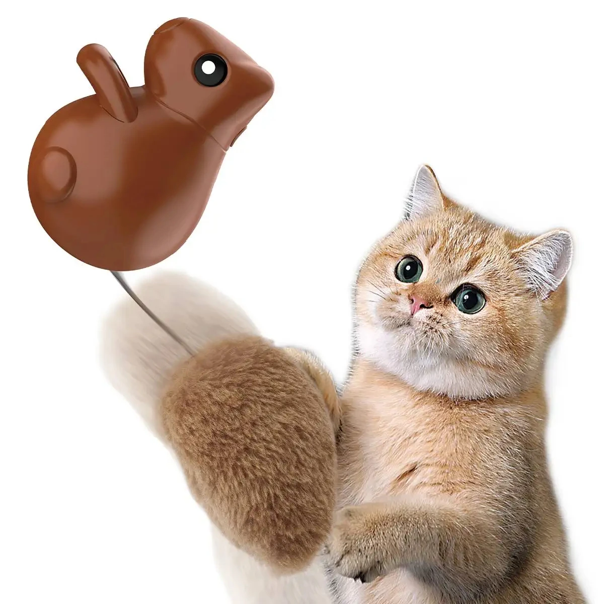 Imagem -06 - Corda de Brinquedo de Gato Elétrico Teaser Automático Brinquedos de Cordas Porta de Suspensão Jogo Interativo de Gatinho Balanço Aleatório Gato Pegando Varas